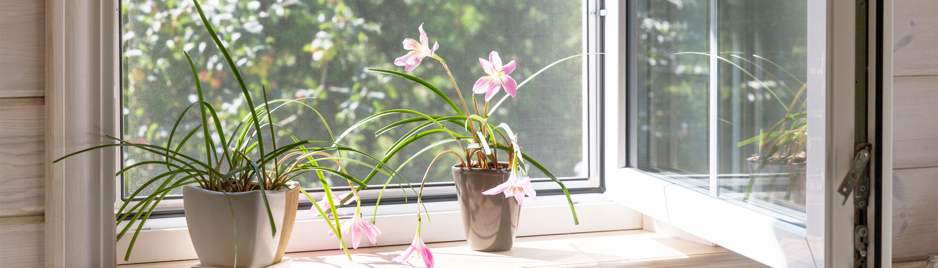 Redes mosquiteiras Cascais