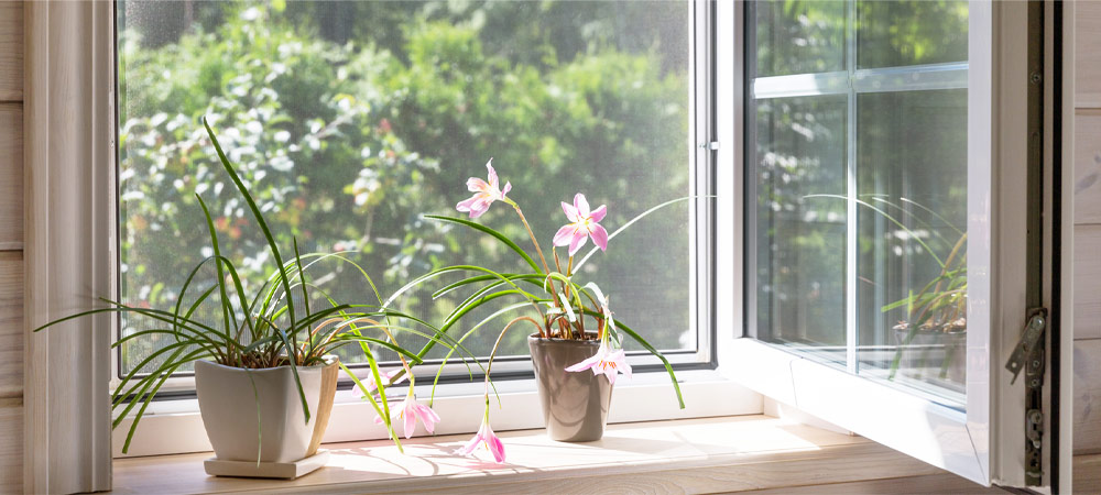 Redes mosquiteiras Cascais